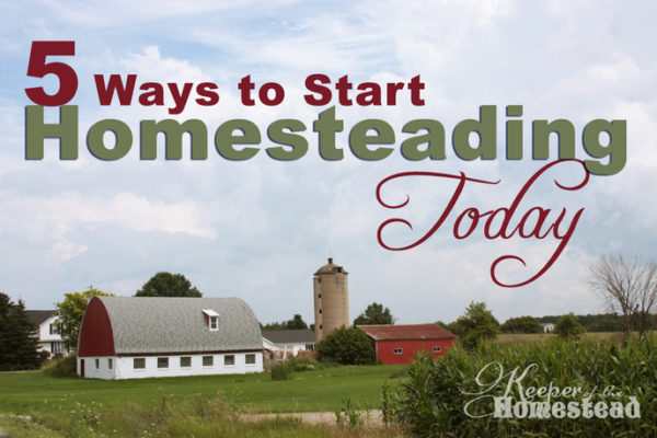 5 Ways to Start Homesteading Today - Keeper of the Homestead